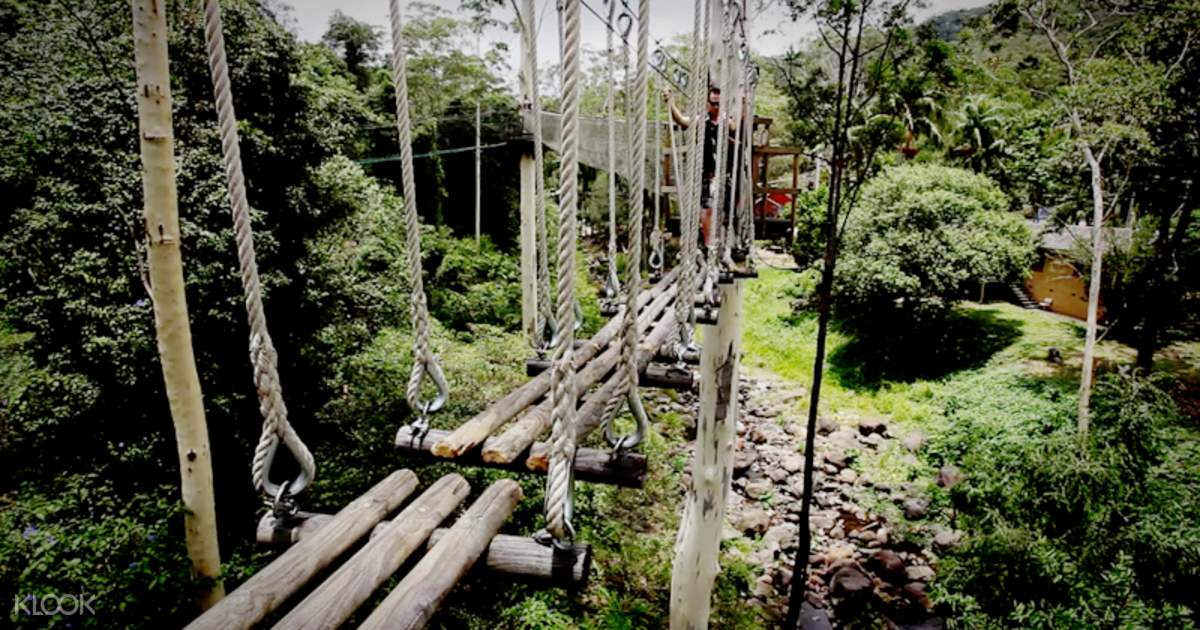 TreeTop Challenge at Tamborine Mountain from Gold Coast Klook Australia